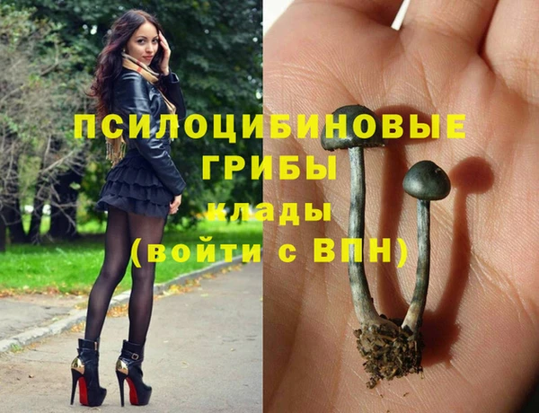скорость Пересвет