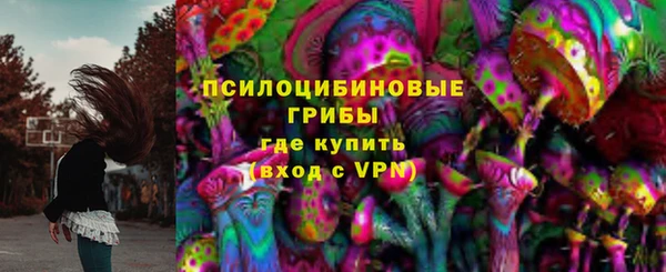 скорость Пересвет