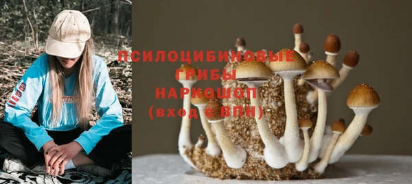 МДПВ Переславль-Залесский
